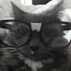 Meet your Posher, Jolisia